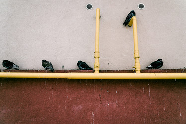 Similar image 22268181