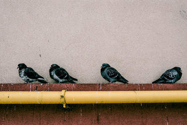 Similar image 22268182