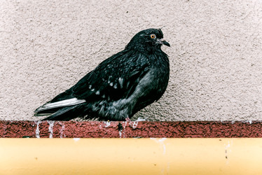 Similar image 22268183