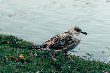 Similar image 22268184