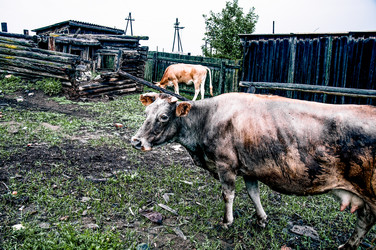 Similar image 22268185