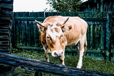 Similar image 22268187