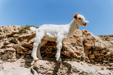 Similar image 22268188