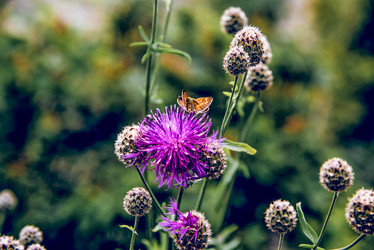 Similar image 22268189