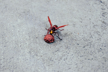 Similar image 22268190