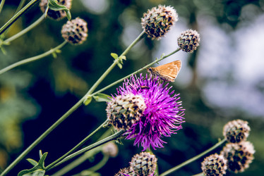 Similar image 22268191