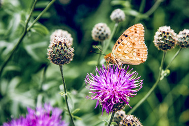 Similar image 22268193