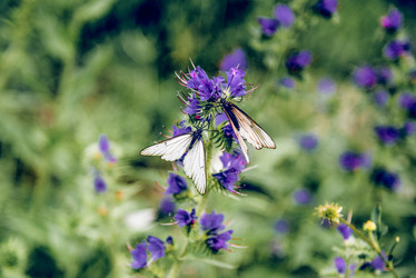 Similar image 22268194