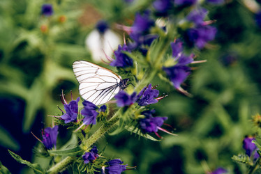 Similar image 22268195