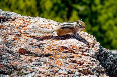 Similar image 22268197