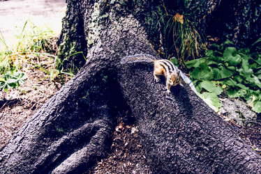 Similar image 22268273