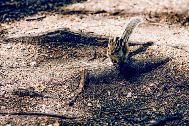 Similar image 22268274