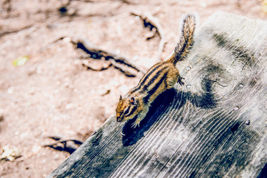 Similar image 22268275