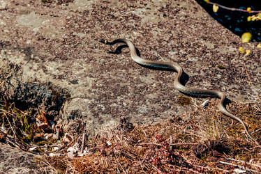 Similar image 22268292