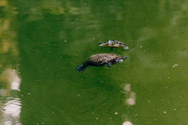 Similar image 22268293