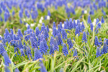 Similar image 22259848