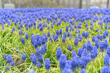 Similar image 22259851