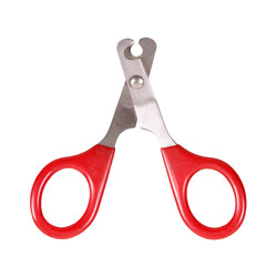 Similar image 22254595