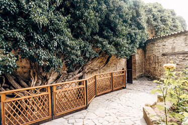 Similar image 22256428