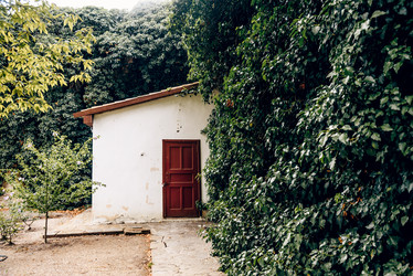 Similar image 22256430