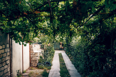 Similar image 22267565