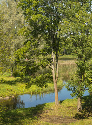 Similar image 22271942