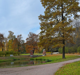 Similar image 22271950