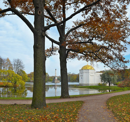 Similar image 22271954