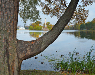 Similar image 22271955