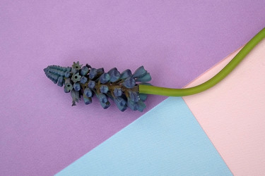 Similar image 22254383