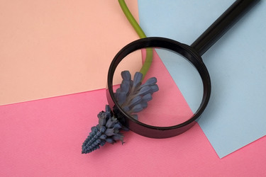 Similar image 22254384