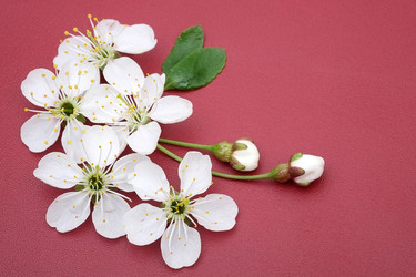 Similar image 22254386