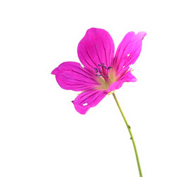 Similar image 22254388