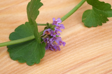 Similar image 22254391