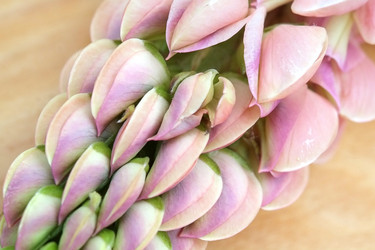 Similar image 22254392