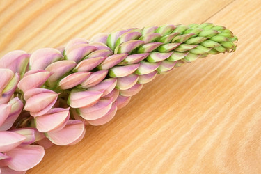 Similar image 22254393