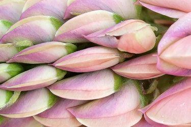 Similar image 22254655