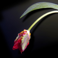 Similar image 22254656