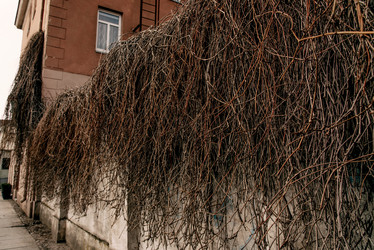 Similar image 22266762