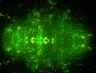 Similar image 22286561