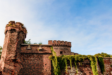 Similar image 22256433