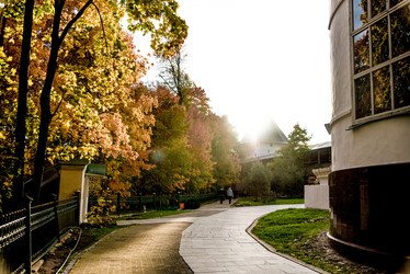 Similar image 22267058