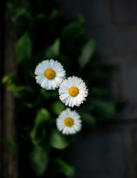 Similar image 22248792