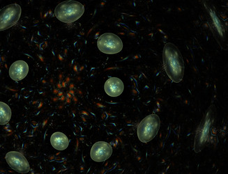 Similar image 22286334