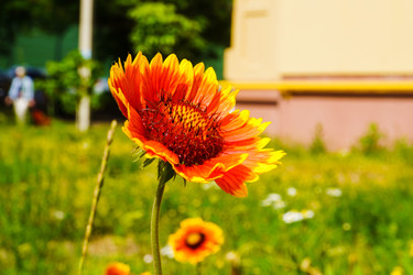 Similar image 22268651