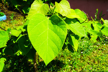 Similar image 22268652