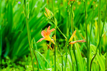 Similar image 22268653