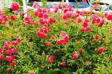 Similar image 22268655