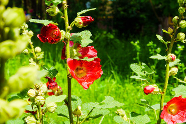 Similar image 22268657