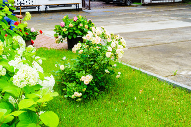 Similar image 22273066